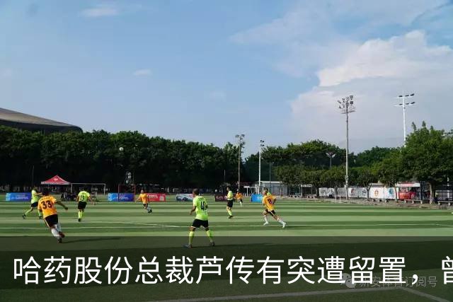 哈药股份总裁芦传有突遭留置，曾因豪华装修引发舆论争议