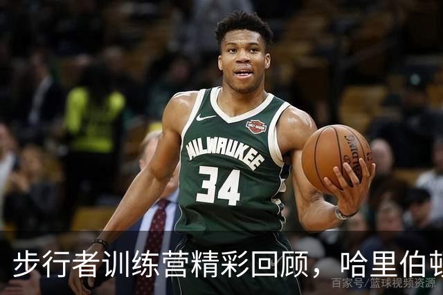 步行者训练营精彩回顾，哈里伯顿等明星球员尽显风采